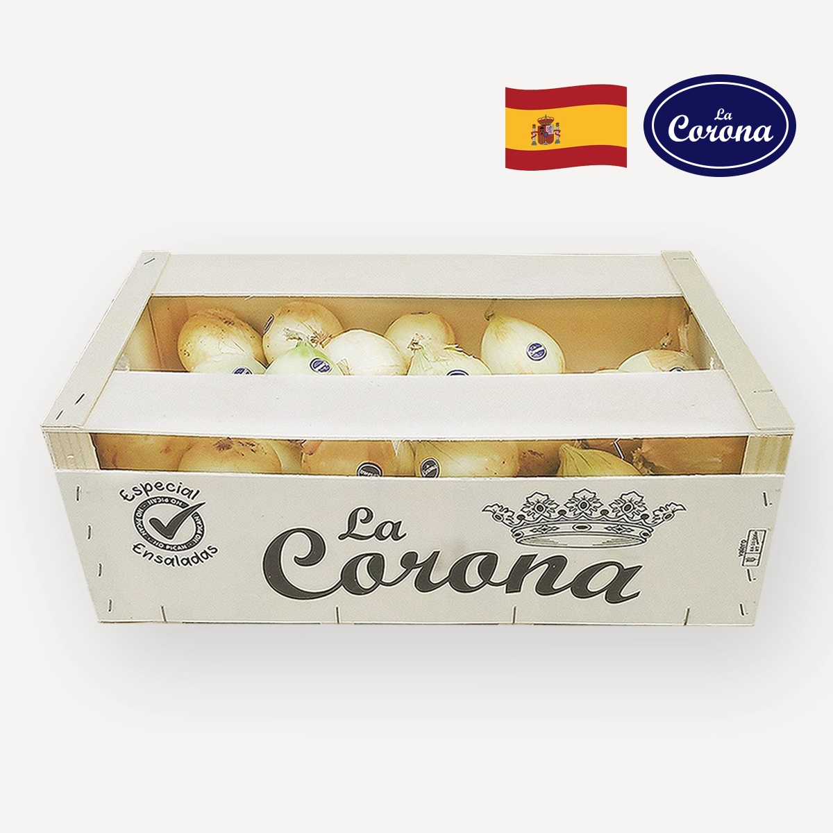 cebolla-dulce-nacional